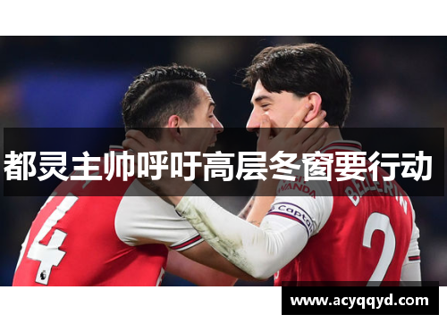 都灵主帅呼吁高层冬窗要行动 